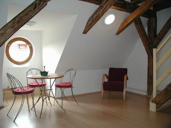 U ZLATE PODKOVY APARTMENTS