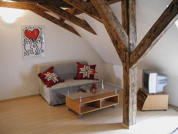 U ZLATE PODKOVY APARTMENTS