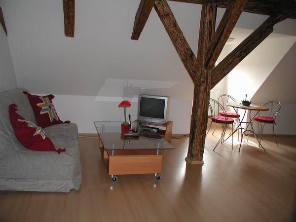 U ZLATE PODKOVY APARTMENTS