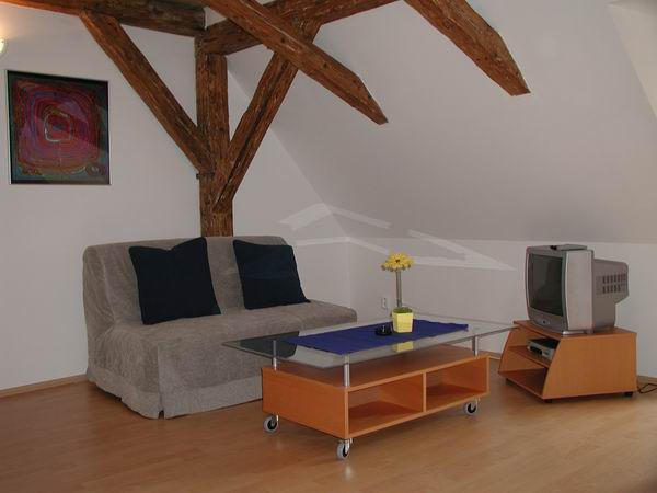 U ZLATE PODKOVY APARTMENTS